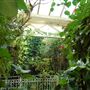 The Botanical Gardens