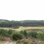 FE - Bourne Wood