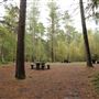 FE - Moors Valley Country Park