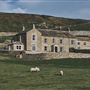 God's Own Farm