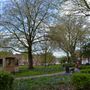 Palmyra Square