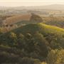Burrow Hill
