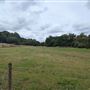 Trentham Gardens Estate and Grounds