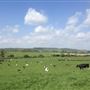 Driftbank Farm