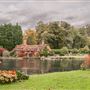 The Lake House