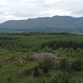 Grizedale, Forestry England, Cumbria
