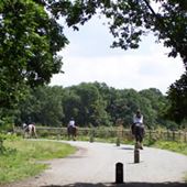 Belfairs Nature Reserve