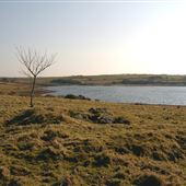 Colliford Lake