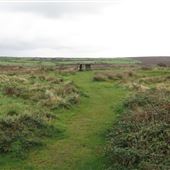 Lanyon Quoit