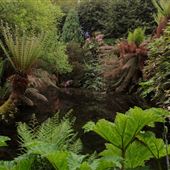 Penejerrick Gardens