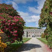 SC - Boconnoc House