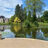 NT - Wakehurst