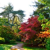Harcourt Arboretum (Oxford Botanic Garden & Arboretum)