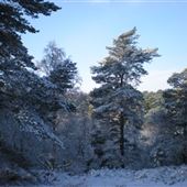 Rushmere Country Park