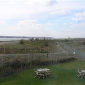 RSPB: Rainham Marshes
