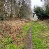 Eight Acres