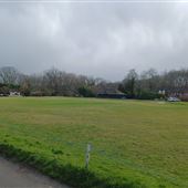 Hambledon Cricket Green