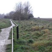 Wyre Estuary Country Park