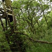 Clough Farm
