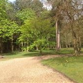 Amberley Lodge