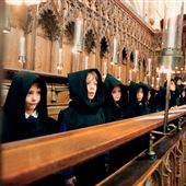 Norwich Cathedral: Choir Stalls