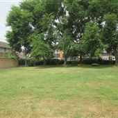 Evesham Green
