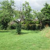 Crispin Field