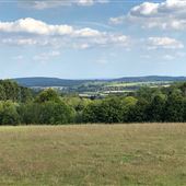 Fawley Fields