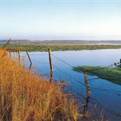 Salthouse Marshes