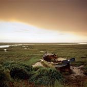 NT - Blakeney Point & Blakeney National Nature Reserve