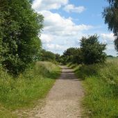 Rodbridge Valley Trail (Long Melford)