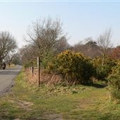 Sutton & Hollesley Heath