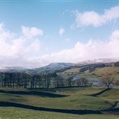 Wensleydale