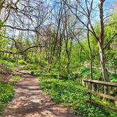 Knaresborough