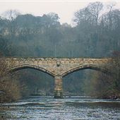 Mercury Bridge