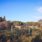 Featherstone Park