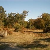 Great Wood Country Park