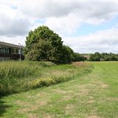 Cotlandswick Open Space