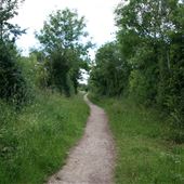 Broad Colney Lakes