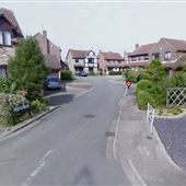 Elderberry Way