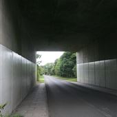 Bridge over Hastoe Lane