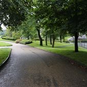 Alexandra Park