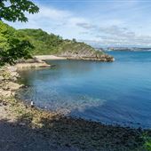 Fishcombe Cove