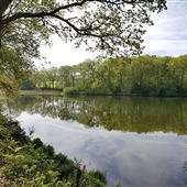 Chard Reserviour Local Nature Reserve
