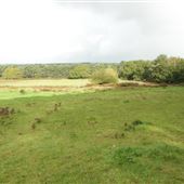 Avon Heath Country Park