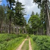 Private Tracks (Cowdray Estate)