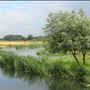Nene Park