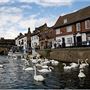 St Ives (town)