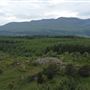FE - Grizedale Forest, Cumbria