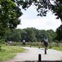 Belfairs Nature Reserve
